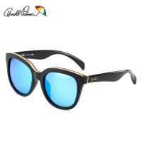 美国花雨伞 女潮正品偏光驾驶镜复古墨镜时尚防紫外线遮阳墨镜AP.11667