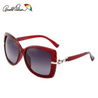 花雨伞新款潮流太阳镜防紫外线大框小脸偏光墨镜女款AP.11631