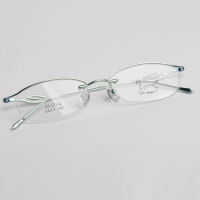 Dr. Swan 天鹅博士 时尚优雅潮女款钛框光学眼镜框