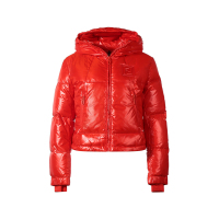 芬迪 FENDI 女士亮面短款高领鹅绒连帽羽绒服上衣外套FAN095 AK85