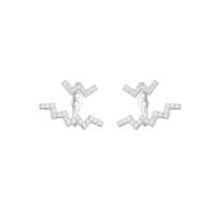 apm MONACO百搭Z字造型耳环925银耳饰气质百搭穿孔耳坠女士首饰欧美风格AE9990OX RE9990OX