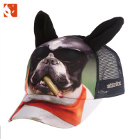 快乐狐狸（ActionFox）运动户外男女亲子儿童动物图案时尚潮流卡车棒球鸭舌帽3029