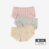 女士 内裤三条装