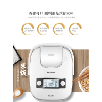 格力大松（TOSOT）GDCF-4001CF 电饭煲 智能预约功能三维立体加热电饭煲多功能型 合金内胆家用4L升智能预约