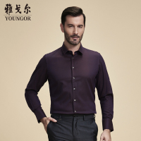 Youngor/雅戈尔男士商务正装紫色长袖衬衫623KBY