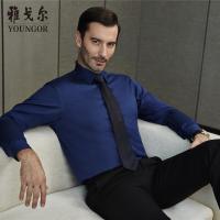 Youngor/雅戈尔秋季新品男士商务正装蓝色DP免烫长袖衬衫360FJA
