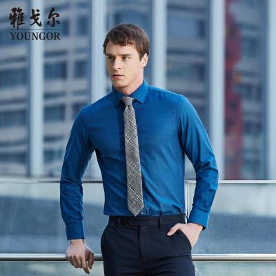 Youngor/雅戈尔春季新品男士商务正装蓝色DP免烫长袖衬衫379GBY