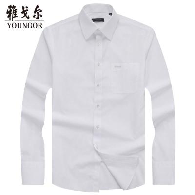 Youngor/雅戈尔春季新品男士商务休闲白色长袖衬衫001BBA