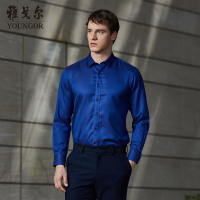 Youngor/雅戈尔秋新品男士商务休闲蓝色长袖衬衫372FFY
