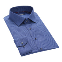 Youngor/雅戈尔秋季男士上衣商务DP免烫修身长袖衬衫男379HBY