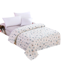 全棉双层纱棉花夏被纯棉儿童夏凉被可机洗棉花空调被单人学生夏被