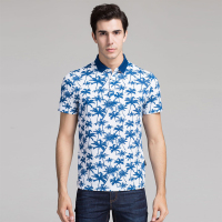青年夏季薄款POLO衫时尚百搭修身休闲上衣男士T恤衫保罗衫