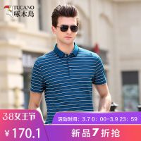 啄木鸟中年男士短袖T恤 2019夏季休闲桑蚕丝上衣新款条纹Polo衫