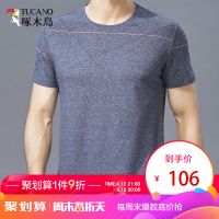 啄木鸟T恤男短袖圆领 2019年夏季新款纯色棉质商务休闲中年体恤