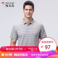 啄木鸟短袖T恤男 2019夏季新款条纹上衣中年休闲翻领Polo衫爸爸装