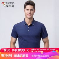 啄木鸟短袖T恤男中年爸爸装2019夏季纯色翻领商务休闲父亲Polo衫