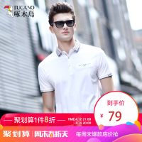 啄木鸟短袖T恤男夏装 2019年新款中青年休闲条纹翻领Polo衫爸爸装