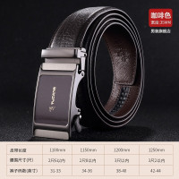 啄木鸟皮带男正品腰带真皮自动扣头层牛皮青年潮流带头商务裤带