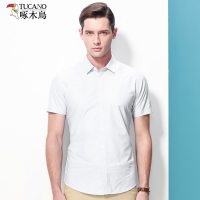 啄木鸟短袖衬衫男半袖寸衫 2019夏季商务休闲免烫正装衬衣男工装