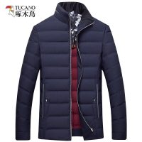 啄木鸟保暖羽绒服男短款外套2019春季新款立领修身大码羽绒服反季