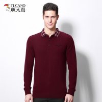 啄木鸟男士纯羊毛衫翻领长袖T恤新款针织毛衣中年商务休闲男装