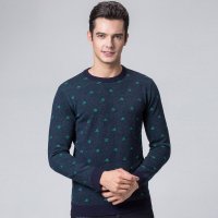 啄木鸟中年男士羊毛衫2018秋冬新款休闲上衣长袖针织衫休闲毛衣男