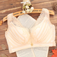 欧美风格巴黎诱惑大码蕾丝背心少女士胸罩性感聚拢无痕无钢圈文胸