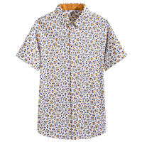 袋鼠(DAISHU)2019夏季新品 中年个性时尚修身新华 100%丝光棉短袖衬衫 DSA2N037A