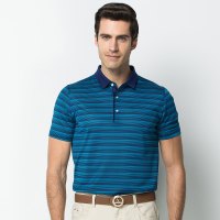 袋鼠(DAISHU) 中年商务休闲条纹舒适翻领短袖t恤 WJC5776106