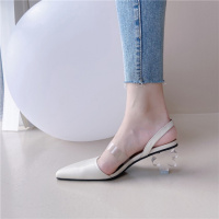 格瑞迪欧夏定定＆D-903