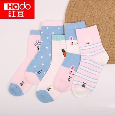 红豆(HODO)2019年夏季A类棉质居家儿童短袜其他学生宝宝四季女童儿童袜子5双装