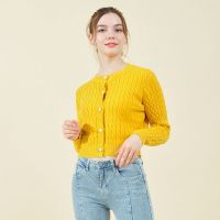 拉夏贝尔Laetia2020秋冬新款复古麻花编织针织开衫女显瘦学生上衣904611165