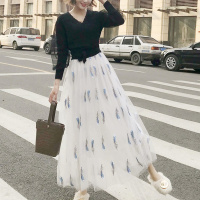 2019春夏纱半身裙女气质ins学生裙子中长款仙女裙