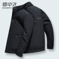 雪中飞男士秋冬季韩版立领休闲商务羽绒服外套
