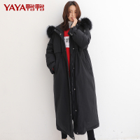 鸭鸭 90鸭绒新款羽绒服女长款修身显瘦收腰韩版外套