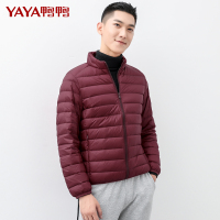鸭鸭/YAYA 新款轻薄羽绒服男短款立领修身时尚潮流外套