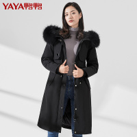 鸭鸭(yaya) 冬季新款女羽绒服中长款连帽时尚休闲保暖羽绒外套
