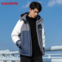 鸭鸭 90鸭绒新款男士羽绒服短款韩版时尚撞色休闲连帽白鸭绒外套