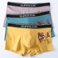 芬腾男士内裤纯棉质透气U凸男平角裤春季薄款运动青年裤衩短裤头