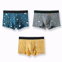 芬腾男士内裤男纯棉平角裤夏季透气大码短裤衩青年潮流四角裤头男