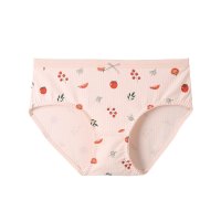 芬腾内裤女夏纯棉薄款甜美少女三角裤抗菌提臀收腹水果印花短裤头