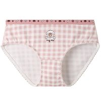 芬腾布朗熊内裤女夏季纯棉抗菌三角裤甜美可爱提臀中腰女士短裤头