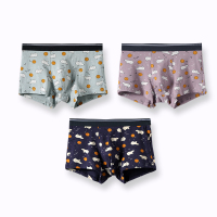 芬腾纯棉内裤男卡通薄款男式运动平角裤男式棉质大码四角短裤头