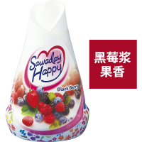 日本小林制药固体除臭剂固体空气清新剂#黑莓香150g（新老款及版本随机发货）