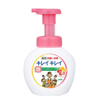 日本LION狮王趣净植物儿童泡沫洗手液 除菌抑菌 果香型250ml（新老款及版本随机发货）