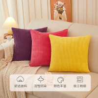 Ceba北欧办公室抱枕正方形绒少女抱枕套不含芯腰枕客厅靠垫枕垫沙发