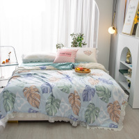 Three Sons水洗棉风夏被柔肤夏季空调被团购礼品夏凉被