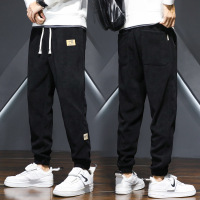 Ceba秋冬潮流男士休闲裤百搭博澳绒宽松卫裤九分裤男秋季潮男束