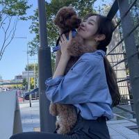 Three Sons2022秋冬法式蓝色叠穿衬衫女设计感早春复古内搭打底