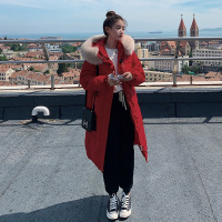 Three Sons服女中长款过膝2022年新款韩版时尚女加厚冬季